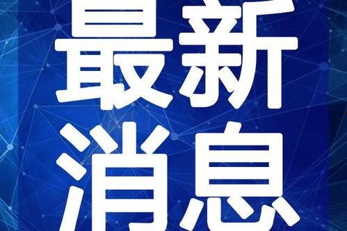 如意爆料铁锤视频大全最新,铁锤视频大全独家揭秘，精彩瞬间一网打尽！